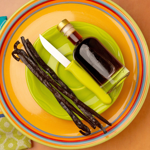 Bottle of vanilla extract with vanilla beans on a colorful plate