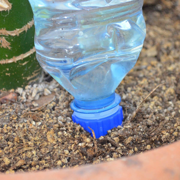 Blumat bottle cap adapter alongside Blumat dripper stake for self-watering plant setup