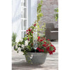 Decorative planter with flowers and a solar light on a wooden deck.