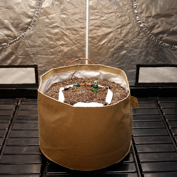 Blumat drip ring and dripper setup installed in a container garden
