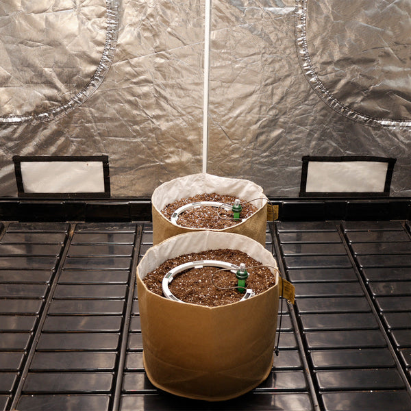 Two grow bags filled with soil on a metal grid with reflective walls.