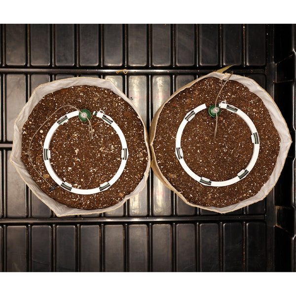 Two circular objects with a central white ring and metallic elements on a textured surface.