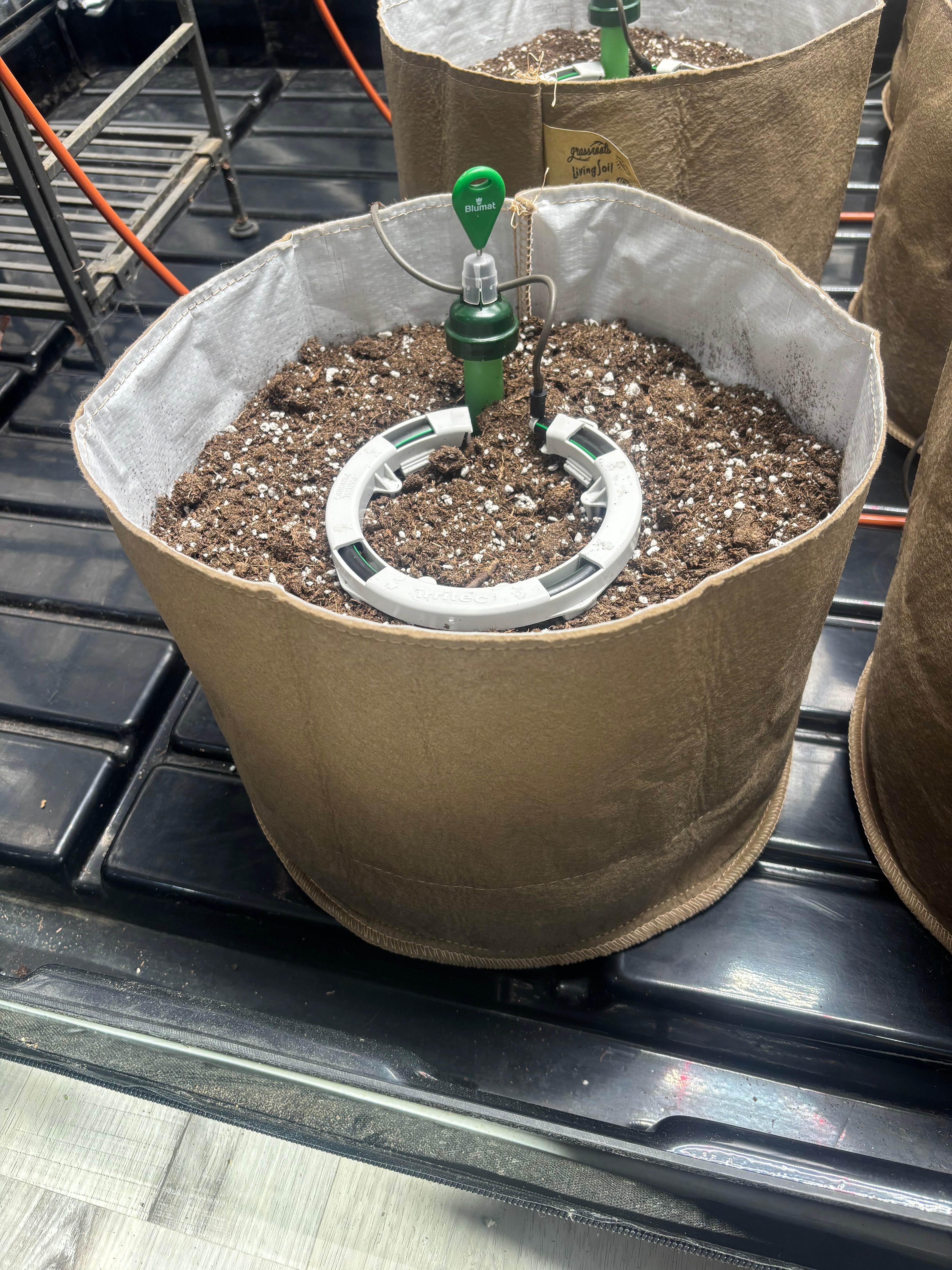 Fabric pot with soil and a plant watering system on a black surface.