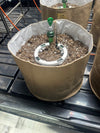 Fabric pot with soil and a plant watering system on a black surface.