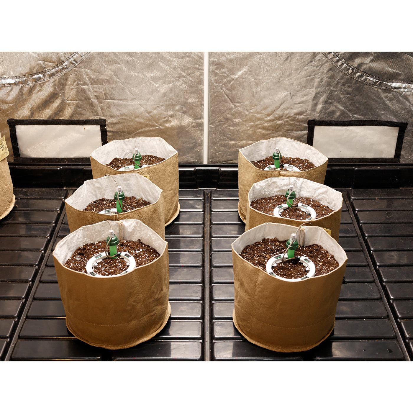 Brown fabric pots with soil and plants on a metal grid, against a metallic background.