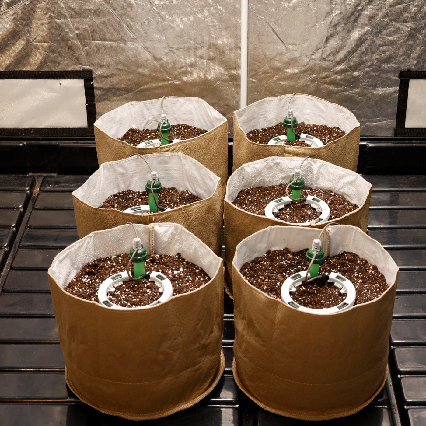 Brown fabric pots with soil and plants on a metal rack.