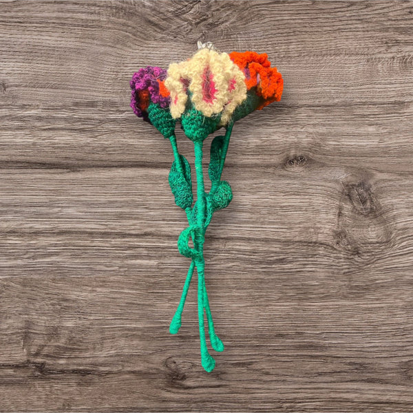 🌸 Handmade Fair Trade Wool Carnation – Eco-Friendly Crocheted Flower Décor (Forever Flowers | Ethical & Sustainable Gift)