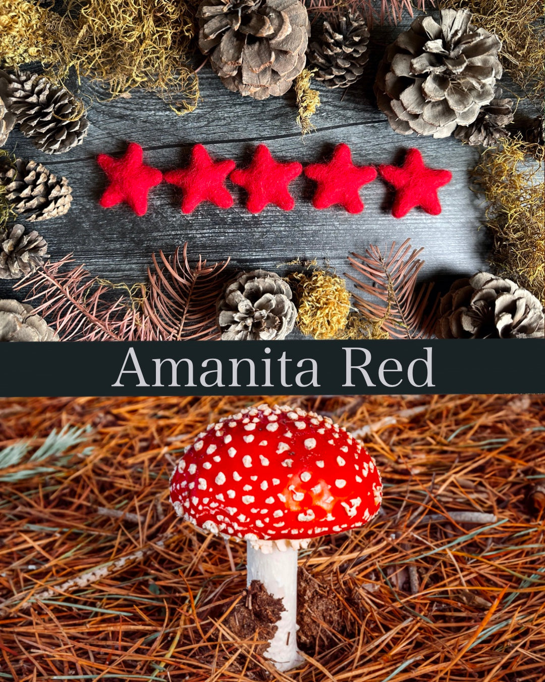 Felted Wool Acorn Ornaments, Set of 6 – Amanita Red