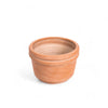 Felipe Medium Terracotta Planter