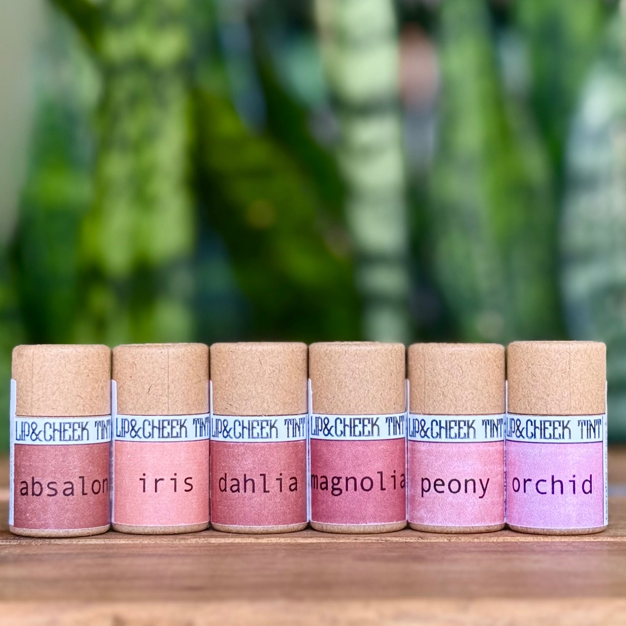 Set of small cylindrical containers with cork lids on a wooden surface, against a blurred green plant background.