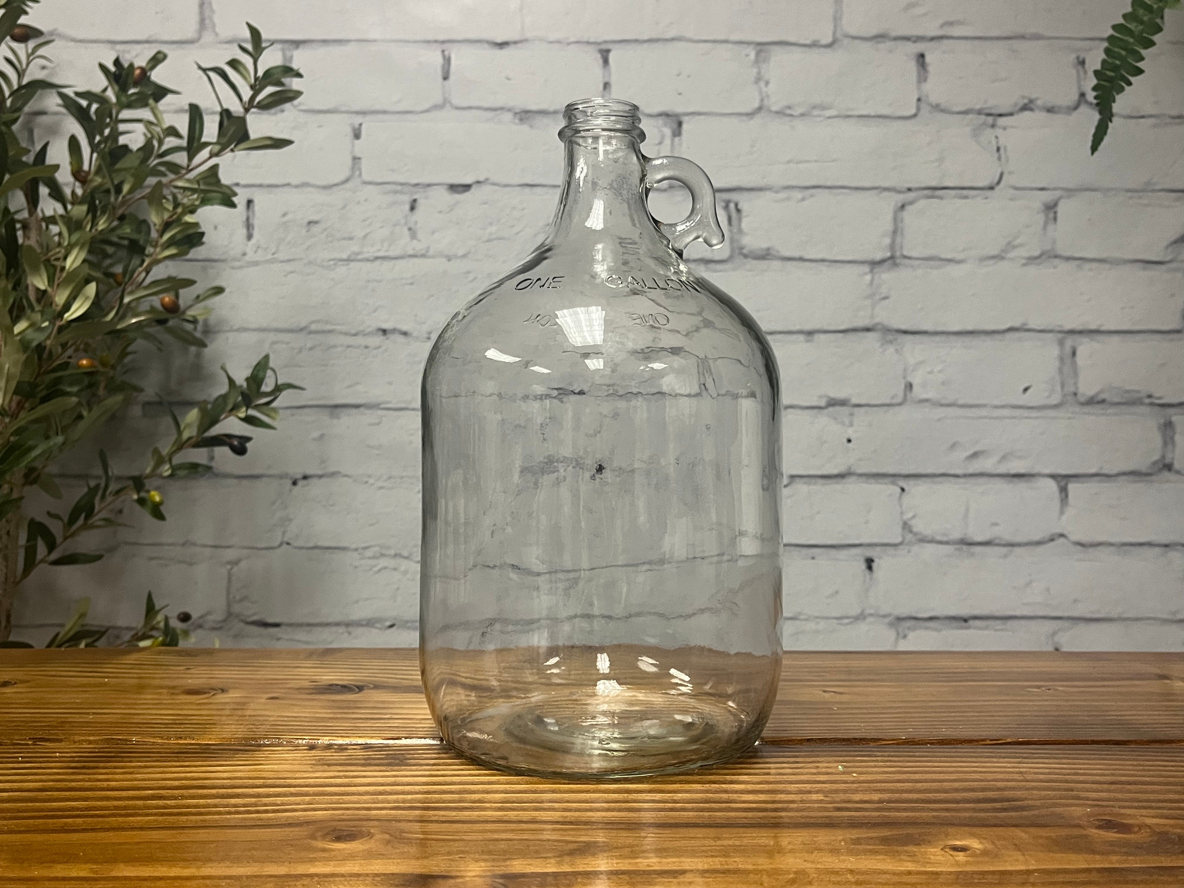 Clear 1 gallon glass jug with lid, ideal for kombucha and home brewing
