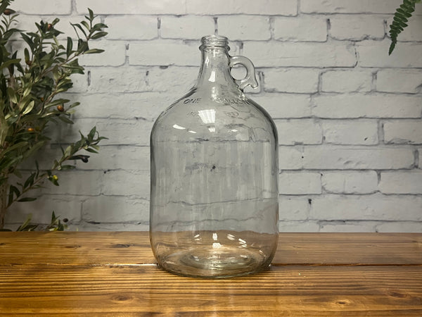 Clear 1 gallon glass jug with lid, ideal for kombucha and home brewing