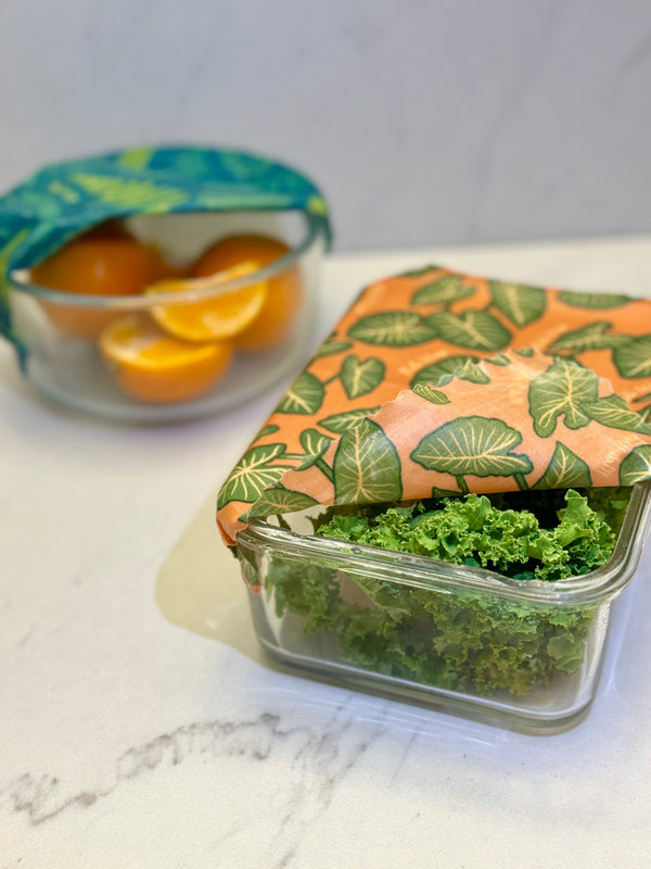 Fern print beeswax wrap roll wrapped around a bowl to seal in freshness