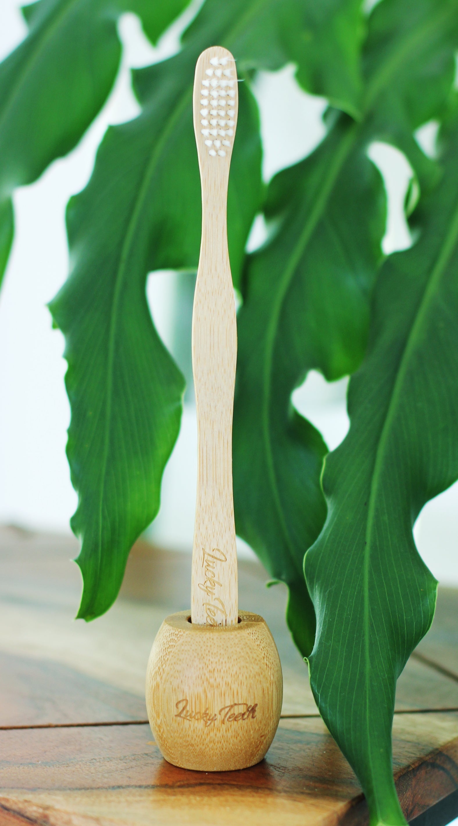 Bamboo Toothbrush Holder / Stand