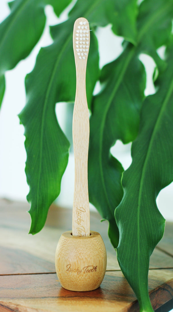 Bamboo Toothbrush Holder / Stand