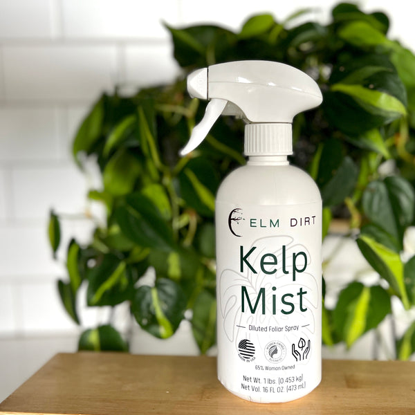 Unleash lush growth & stress resilience! Kelp Mist - organic plant food. Nutrients, drought tolerance, soil microbes. Sustainable, concentrated formula. Shop now & supercharge your garden!