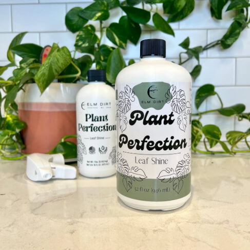 Two bottles of Elm Dirt Plant Perfection Leaf Shine on a surface with plants in the background.