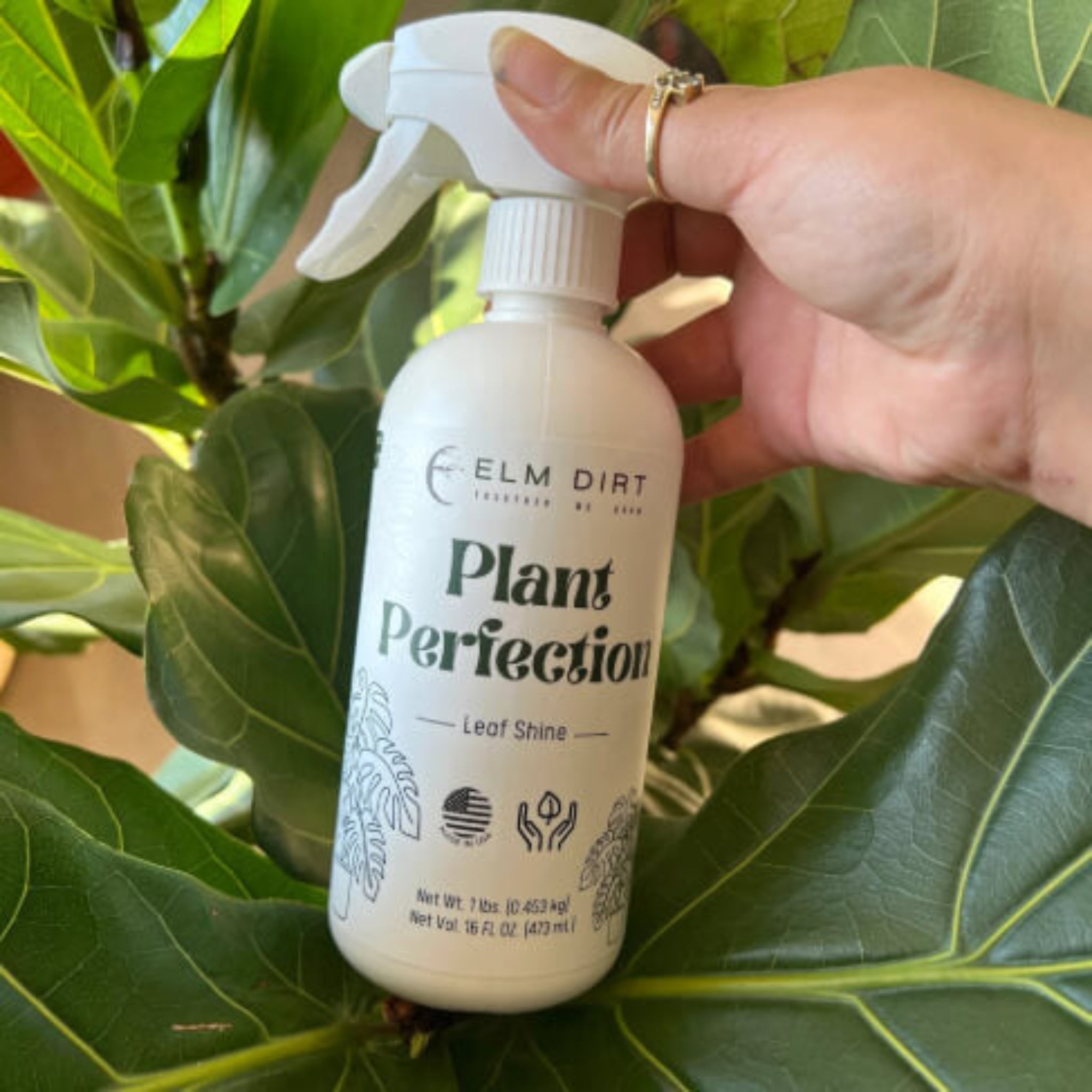Hand holding a bottle of 'Plant Perfection' spray with green leaves in the background
