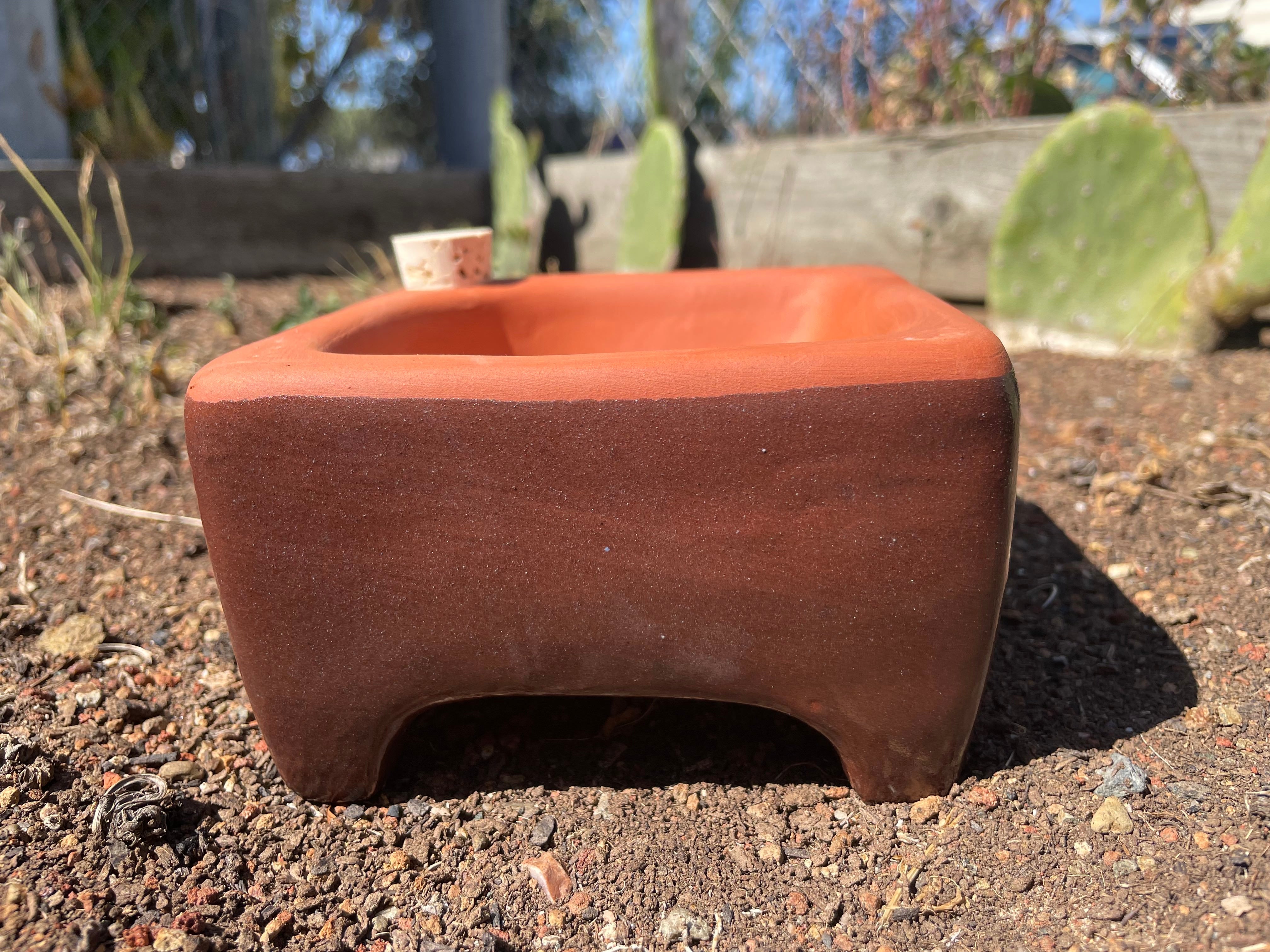Terracotta pot on a soil surface with cacti in the background