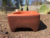 Terracotta pot on a soil surface with cacti in the background