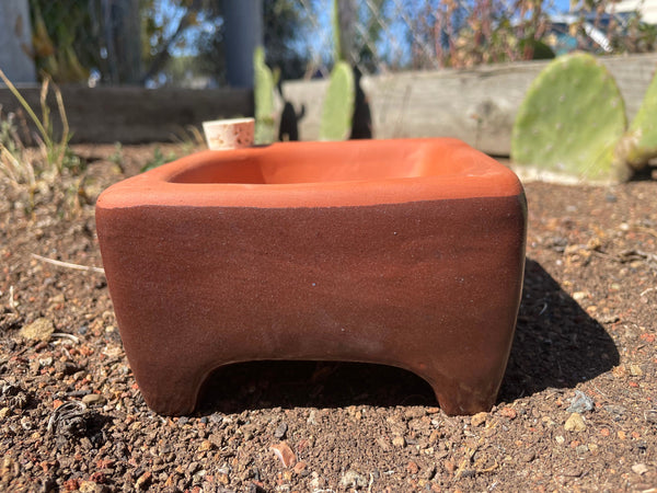 Terracotta pot on a soil surface with cacti in the background