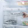 Person placing an ice cube tray into a refrigerator.