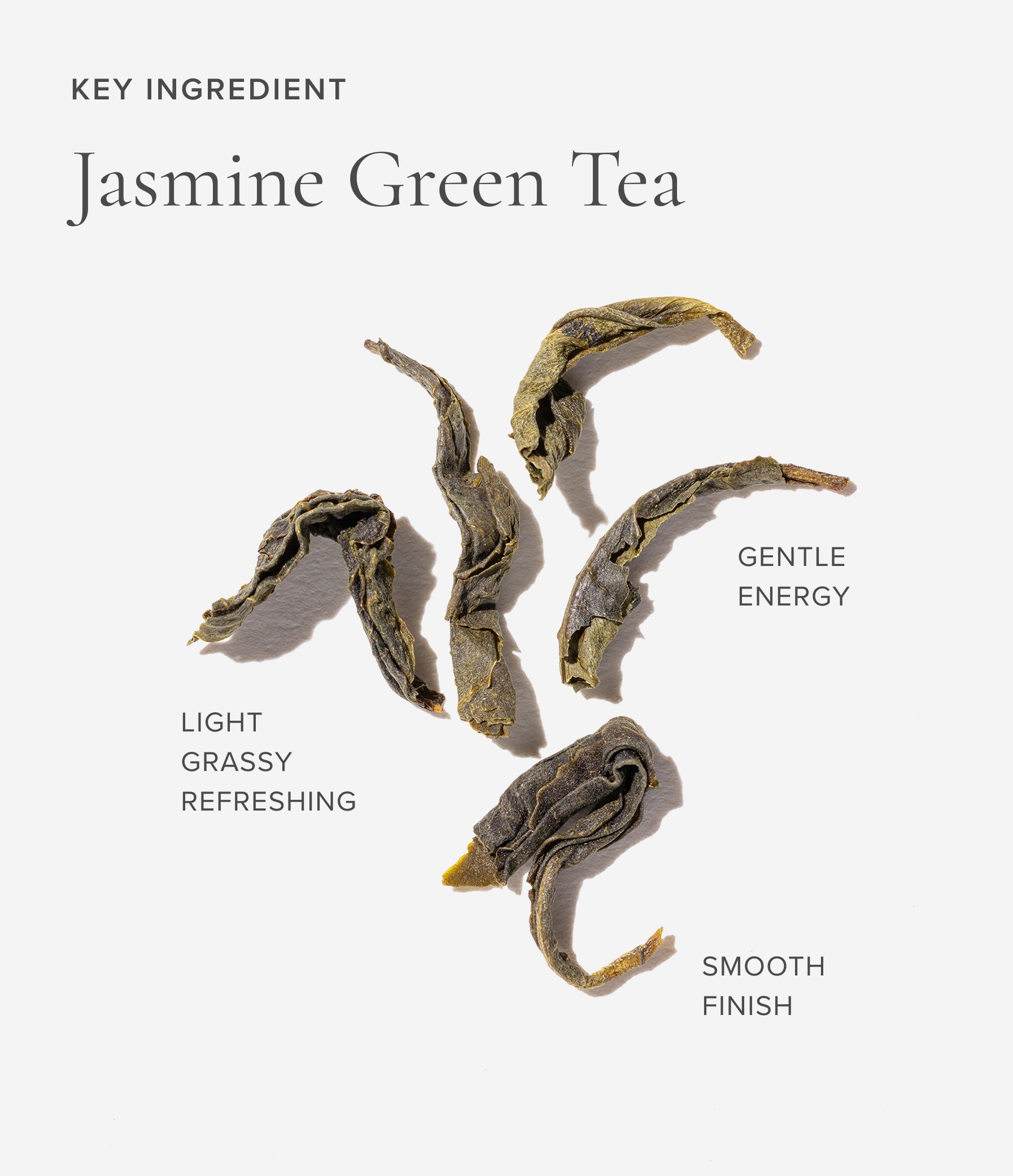 Dried jasmine green tea leaves with descriptive text on a white background