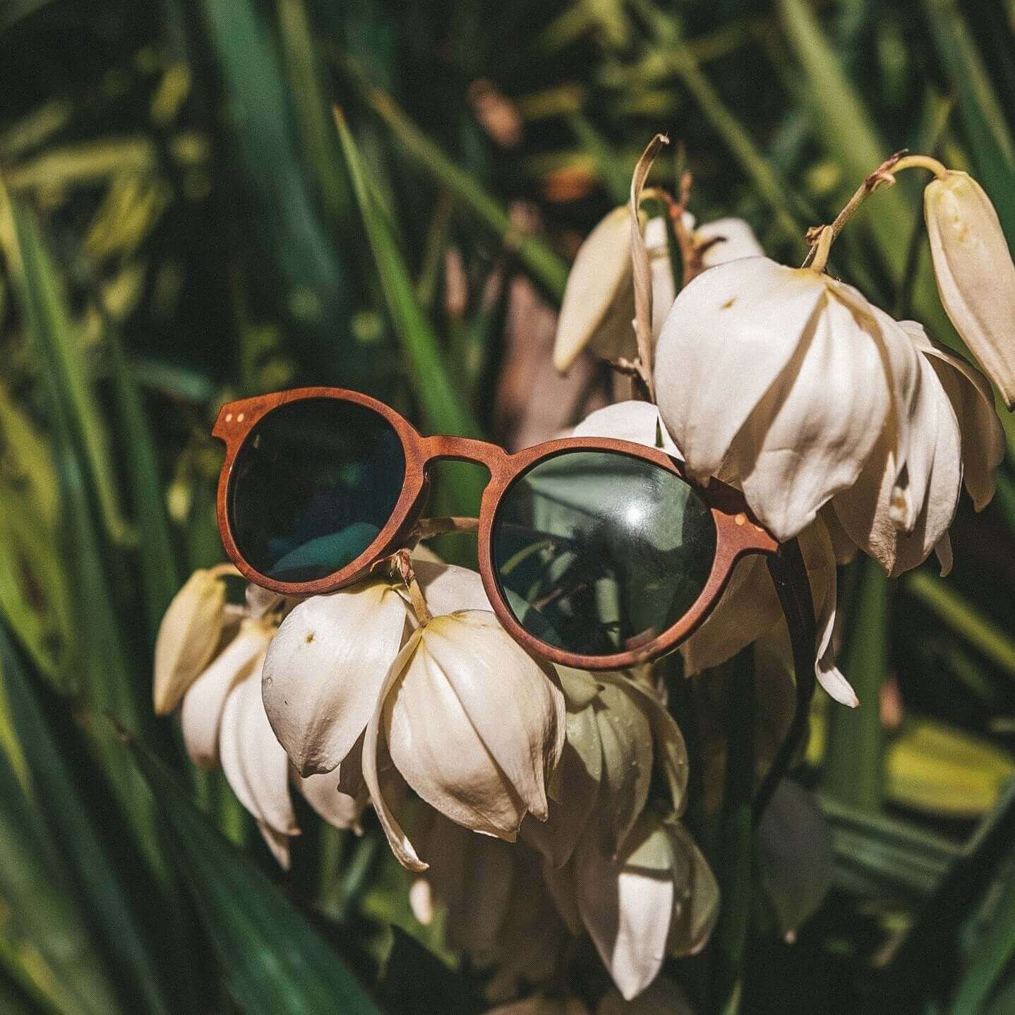 Sunglasses with brown frame and dark lenses hanging on a white flower against a green background