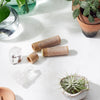 Kissable Lips organic lip balm in zero-waste paperboard tube by Butter Me Up Organics