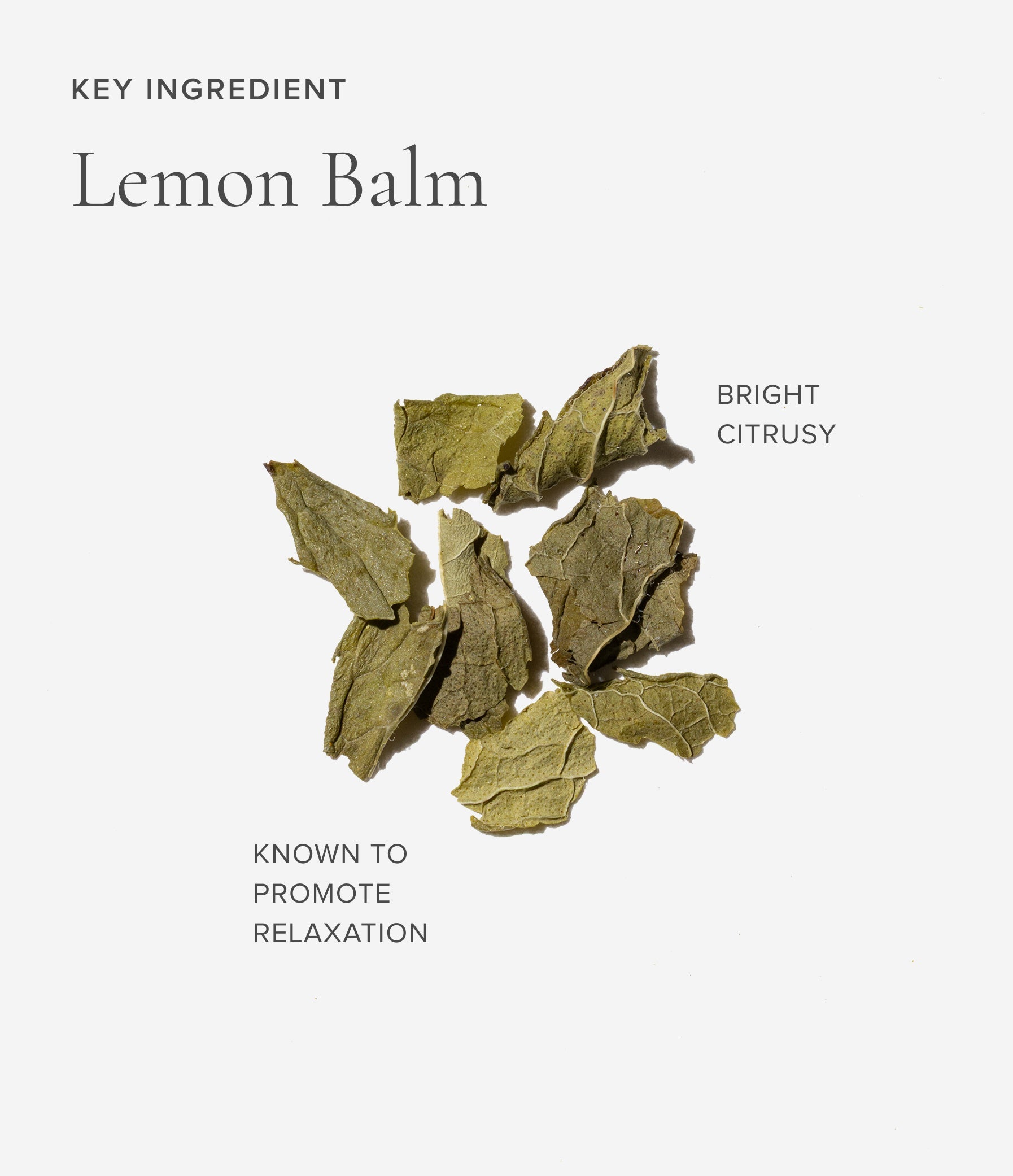 Dried lemon balm leaves on a white background with text describing the key ingredient.