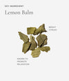 Dried lemon balm leaves on a white background with text describing the key ingredient.
