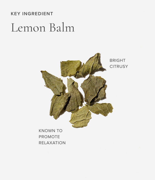 Dried lemon balm leaves on a white background with text describing the key ingredient.