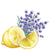 Close-up of Lavender and Lemon essential oil linen spray by Rustic Strength