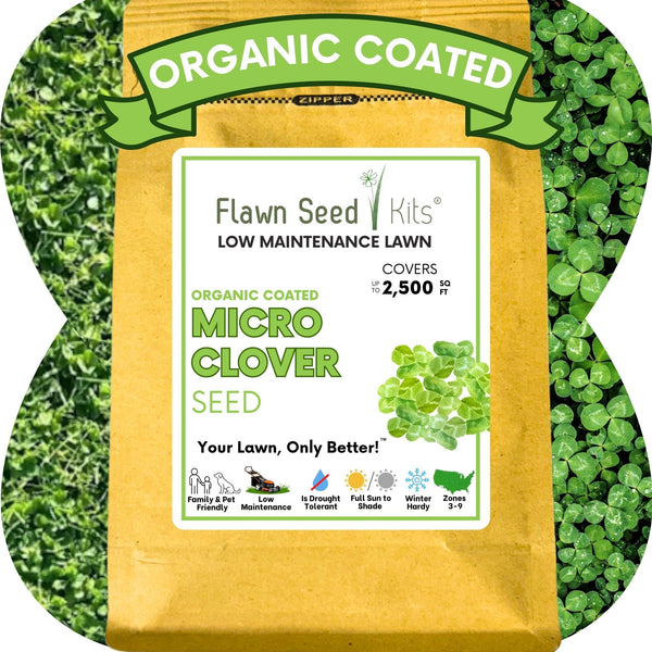 Micro Clover Seed: The Ultimate Low-Mow, Eco-Friendly Lawn Alternative