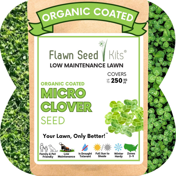 Micro Clover Seed – Non-GMO Low-Mow Eco-Friendly Lawn Alternative