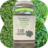 Micro Clover Seed: The Ultimate Low-Mow, Eco-Friendly Lawn Alternative