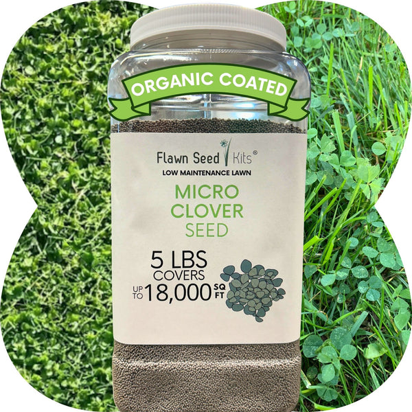 Micro Clover Seed: The Ultimate Low-Mow, Eco-Friendly Lawn Alternative