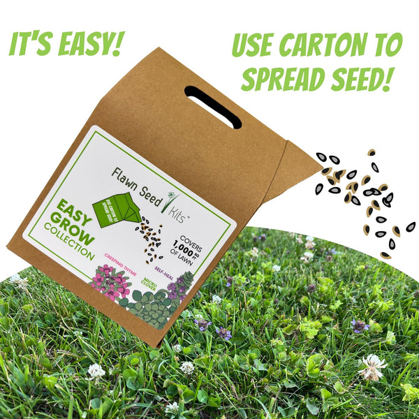 Flawn Seed Kits packaging with seeds scattered on grass