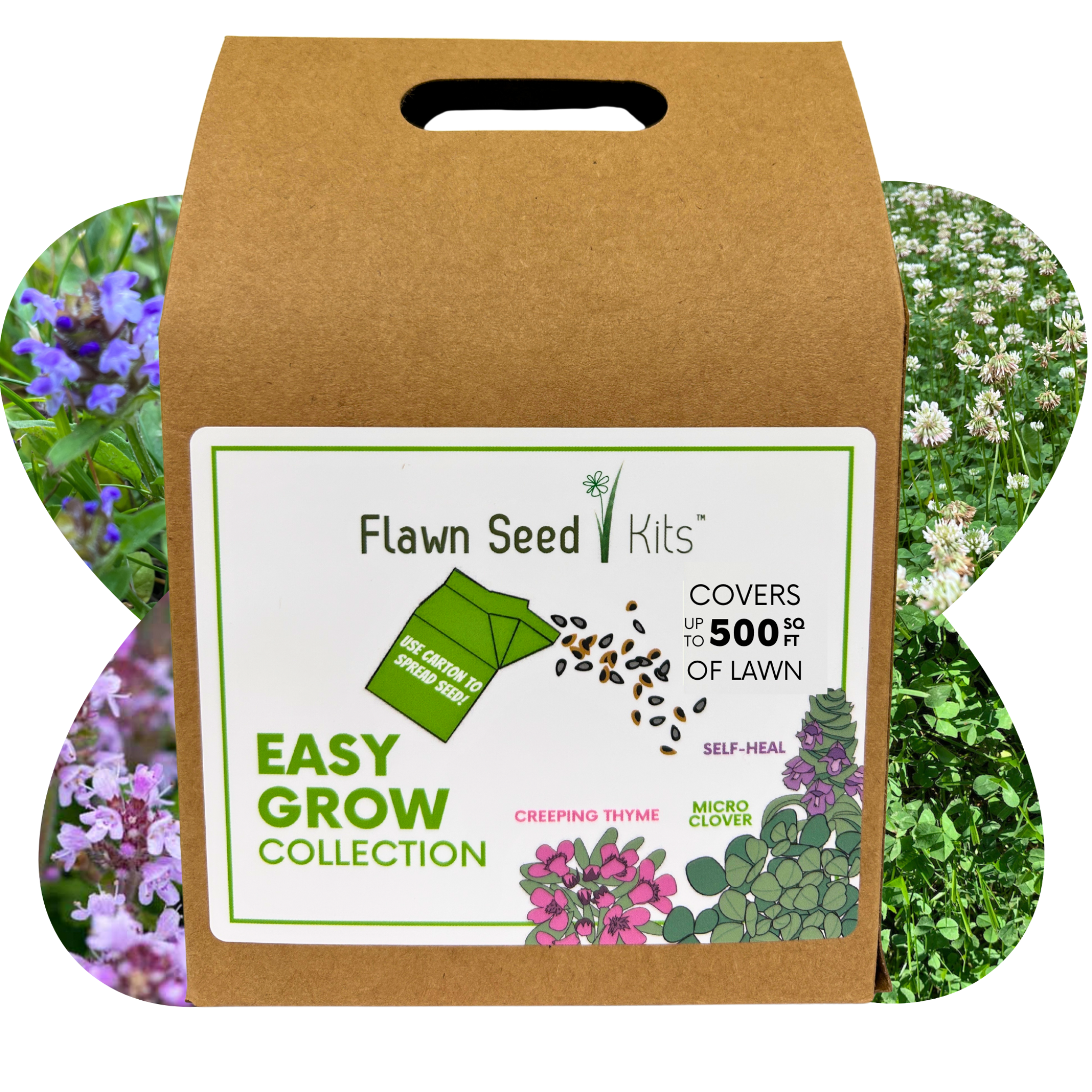 Flawn Seed Kits Easy Grow Collection packaging with seed packets on a white background