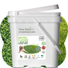 White bucket of Flawn Seed Kits with grass seed label on a green grass background