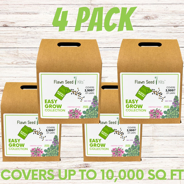 Easy Grow Micro Bee Lawn Eco-Friendly Kit