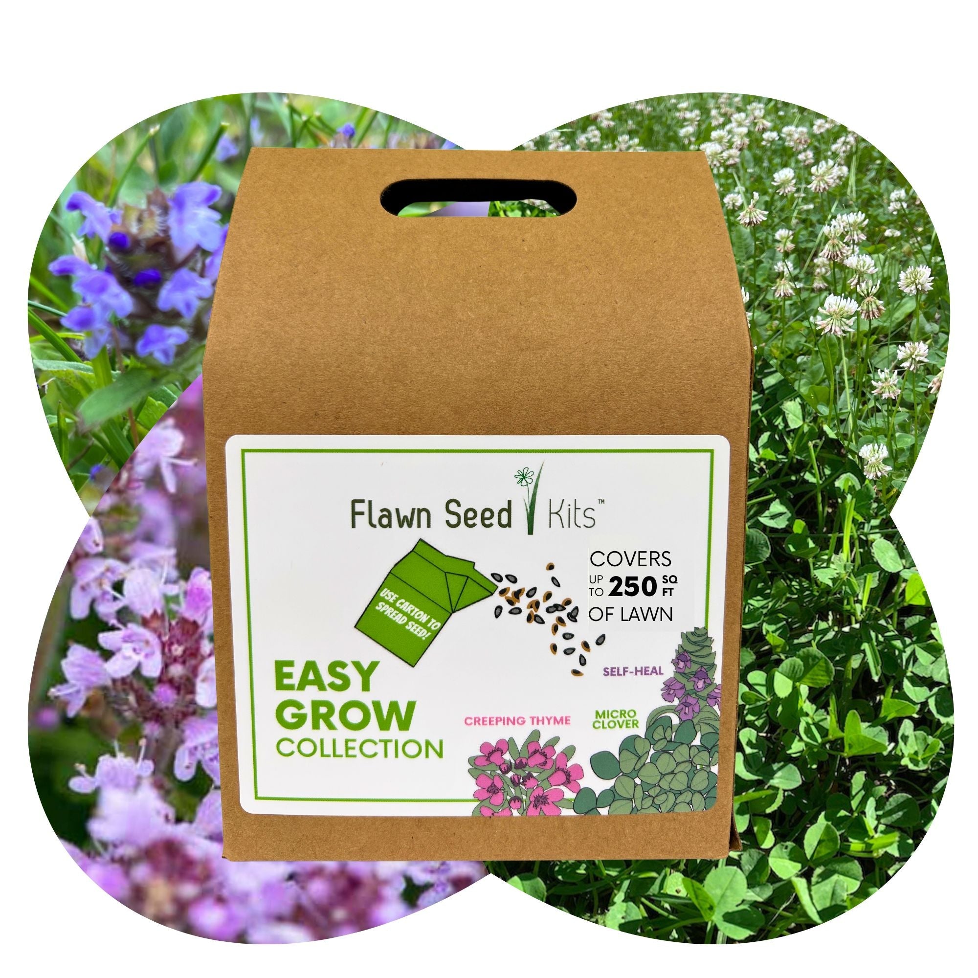 Easy Grow Micro Bee Lawn Eco-Friendly Kit