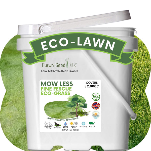 Flawn Seed Kits Eco-Lawn product packaging with grass background