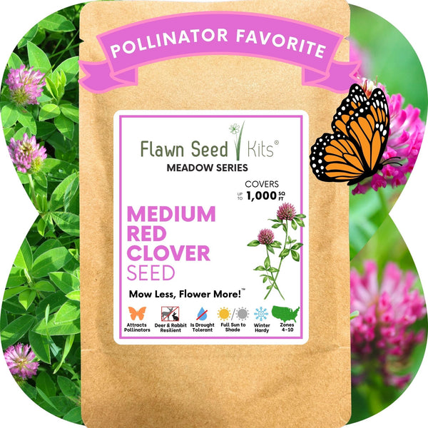 Medium Red Clover Seed: Vibrant Pink Blooms for Your Eco-Friendly, Pollinator-Friendly Lawn