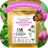 Medium Red Clover Seed: Vibrant Pink Blooms for Your Eco-Friendly, Pollinator-Friendly Lawn