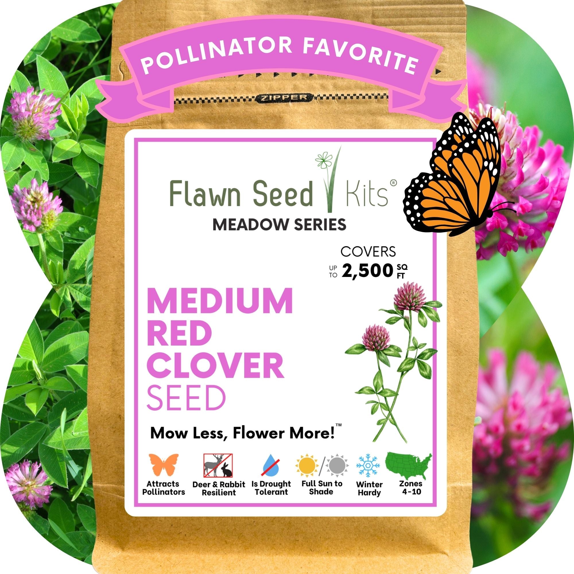 Medium Red Clover Seed: Vibrant Pink Blooms for Your Eco-Friendly, Pollinator-Friendly Lawn