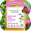 Medium Red Clover Seed: Vibrant Pink Blooms for Your Eco-Friendly, Pollinator-Friendly Lawn