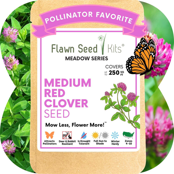 Medium Red Clover Seed: Vibrant Pink Blooms for Your Eco-Friendly, Pollinator-Friendly Lawn