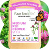 Medium Red Clover Seed: Vibrant Pink Blooms for Your Eco-Friendly, Pollinator-Friendly Lawn