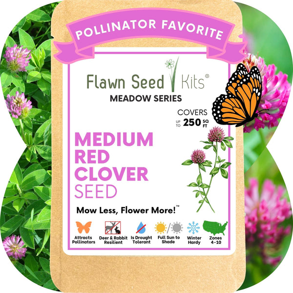 Medium Red Clover Seed: Vibrant Pink Blooms for Your Eco-Friendly, Pollinator-Friendly Lawn